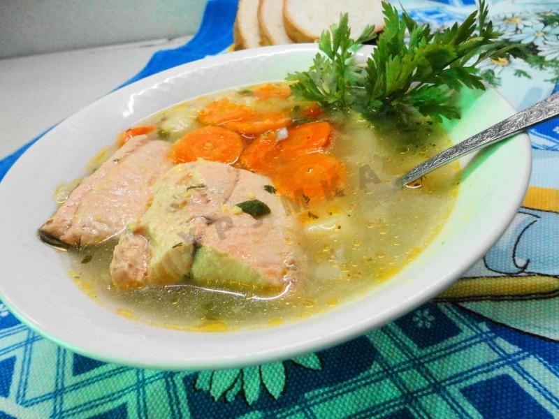 Рыбный суп уха из кеты рецепт с фото пошагово - 1000.menu